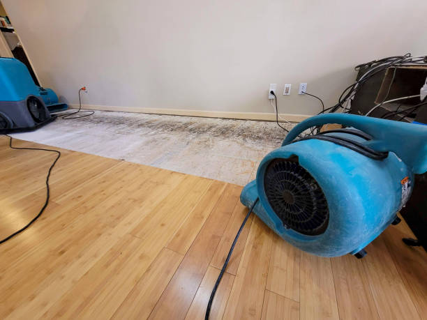 Professional Water Damage Repair technician working in Orem, UT